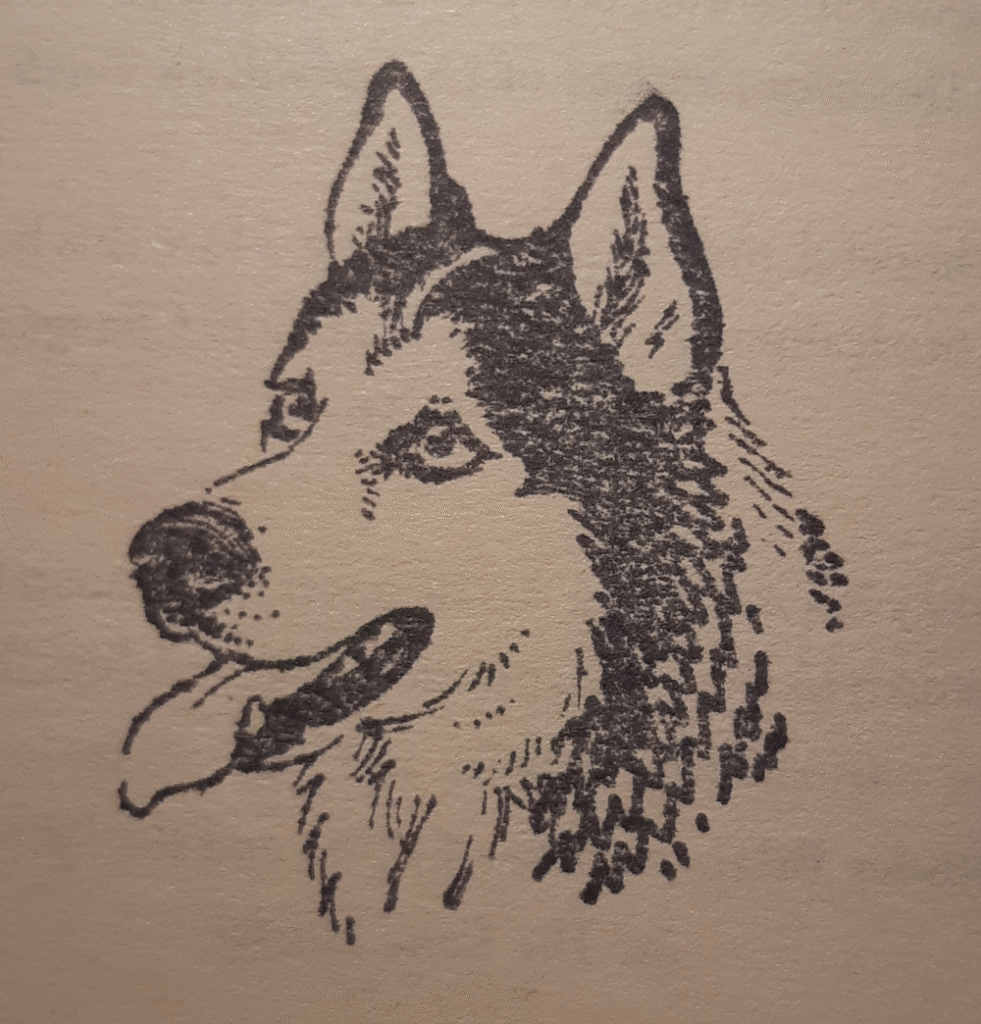 The Lone Husky by Hannah Gold